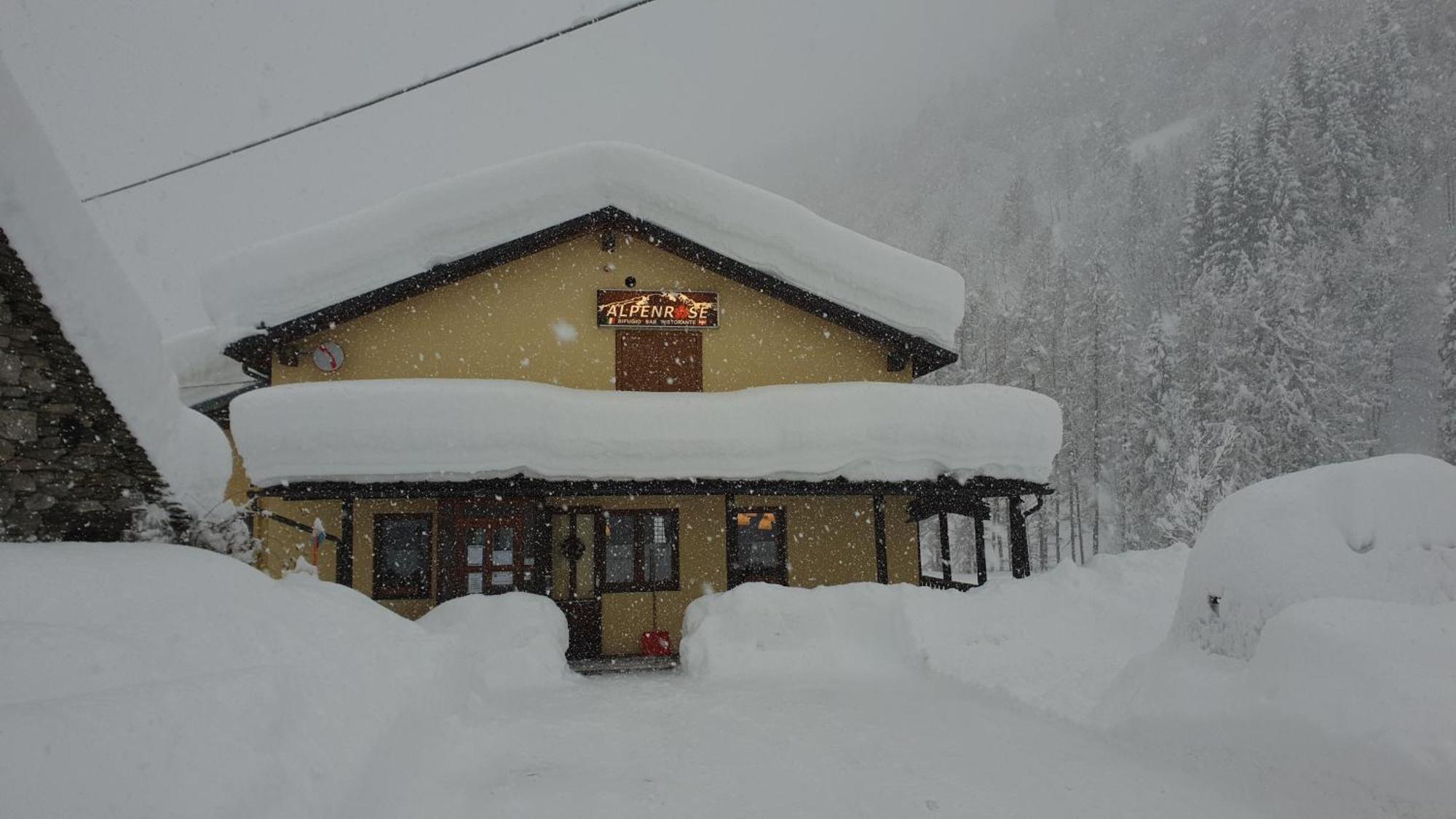 Rifugio Alpenrose Hotel Carcoforo Eksteriør billede
